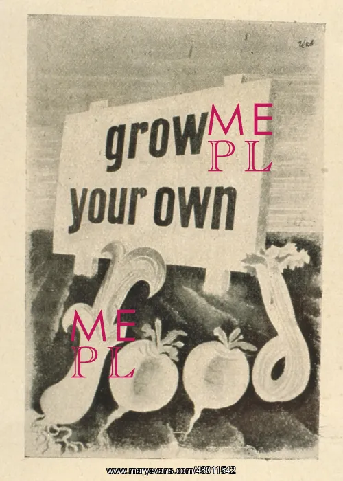: Poster design, grow your own food : Poster design, grow your own food