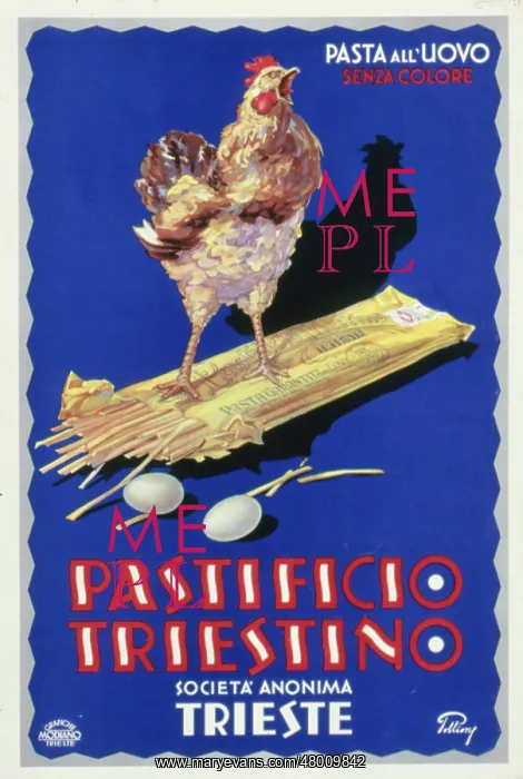 : Poster design for Pastifico Triestino egg pasta : Poster design for Pastifico Triestino egg pasta