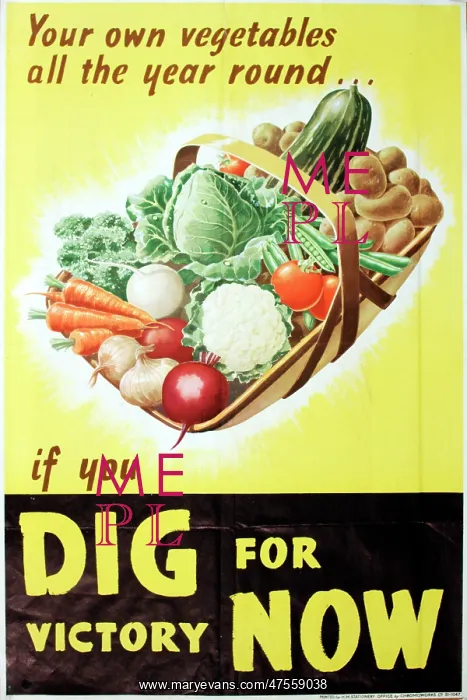 : Poster: Dig For Victory Now : Poster: Dig For Victory Now
