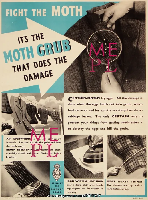 : Poster: Fight the Moth : Poster: Fight the Moth