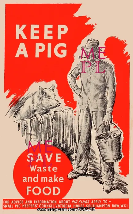 : Poster, Keep a Pig, save waste and make food, WW2 : Poster, Keep a Pig, save waste and make food, WW2