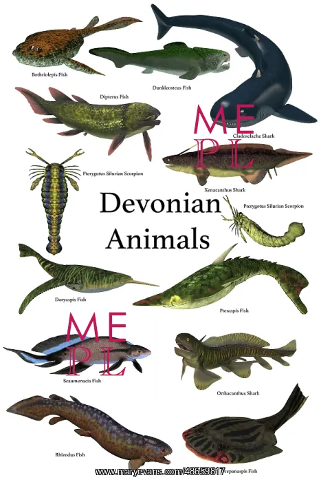 : Poster of prehistoric animals of the Devonian period : Poster of prehistoric animals of the Devonian period
