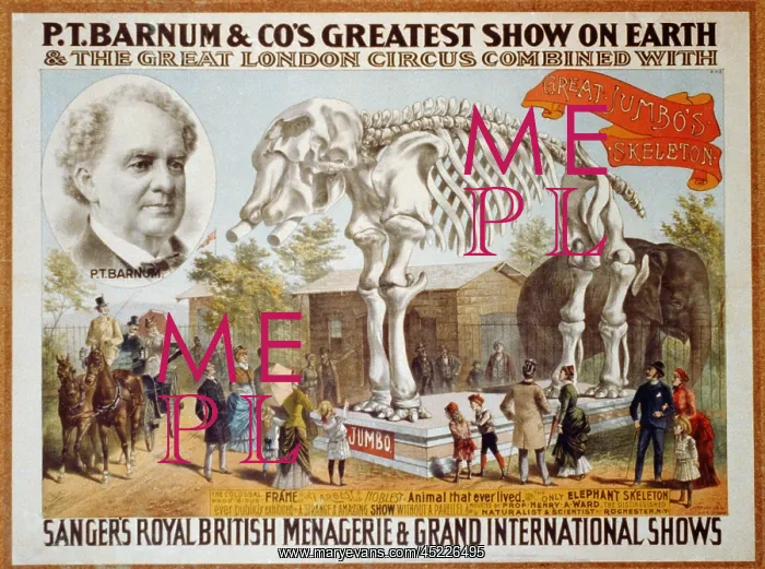: Poster for P.T. Barnum & Circus featuring ? : Poster for P.T. Barnum & Circus featuring ?