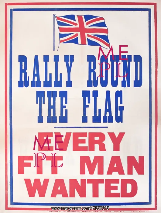 : Poster, Rally Round the Flag : Poster, Rally Round the Flag