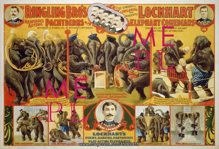 : Poster for Ringling Bro's circus featuring ? : Poster for Ringling Bro's circus featuring ?