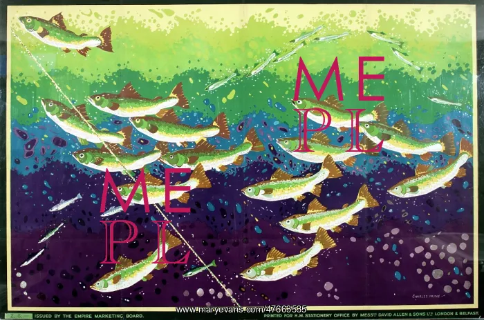  : Poster, Salmon Fishing