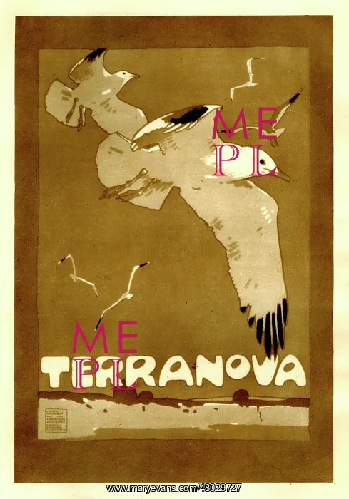 : A poster of seagulls, promoting Terranova : A poster of seagulls, promoting Terranova