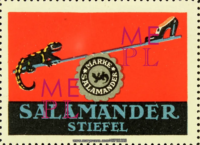 : Poster stamp Salamander boots : Poster stamp Salamander boots