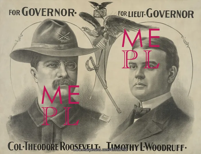 : Poster for Theodore Roosevelts campaign for Governor : Poster for Theodore Roosevelts campaign for Governor