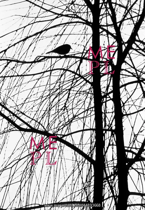  : POSTERIZATION OF BIRD PERCHED ON BRANCH OF TREE