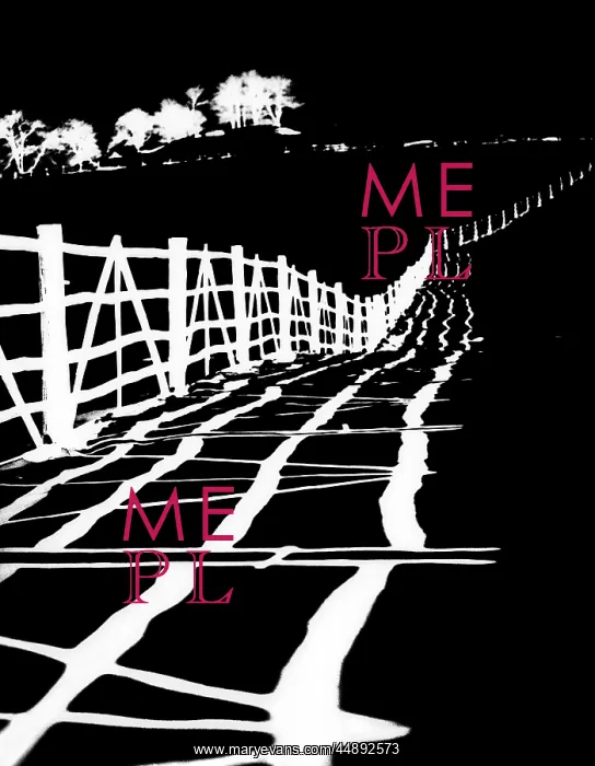  : Posterization Of Post & Rail Fence