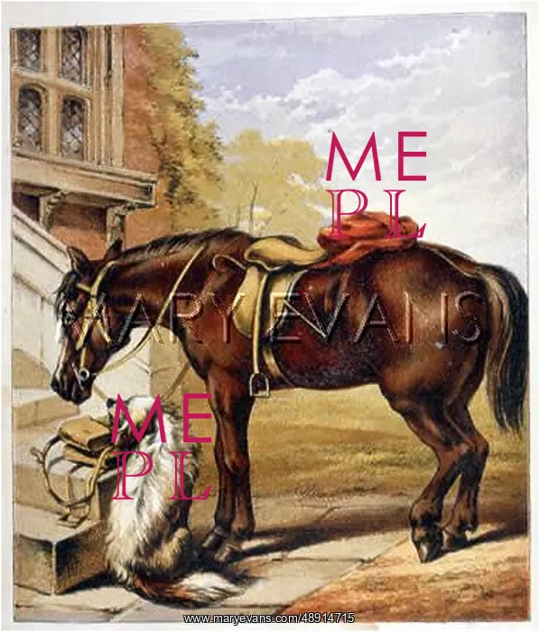 : POSTMAN'S HORSE C1800 : POSTMAN'S HORSE C1800