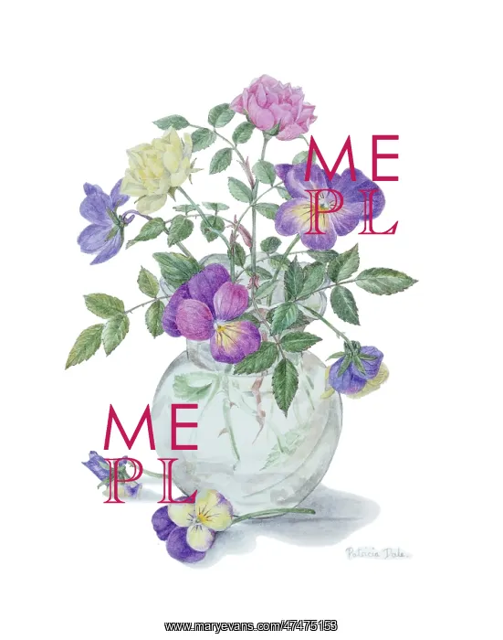 : The Posy ? flower design : The Posy ? flower design