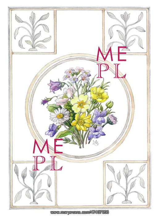 : Posy of Spring Flowers : Posy of Spring Flowers