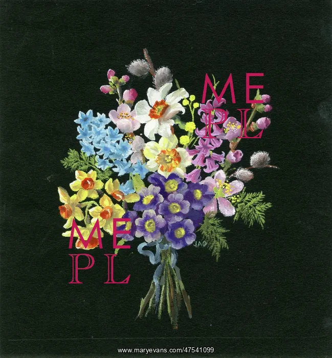 : Posy of Spring Flowers : Posy of Spring Flowers
