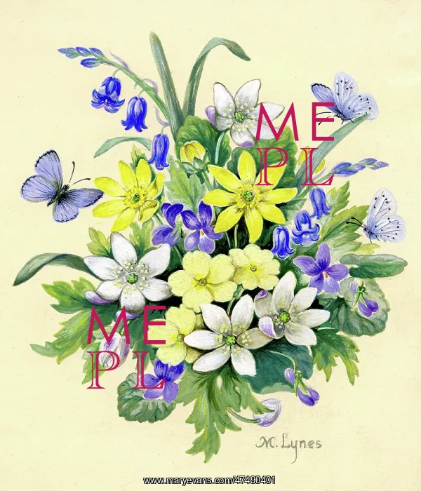  : Posy of spring flowers with blue butterflies