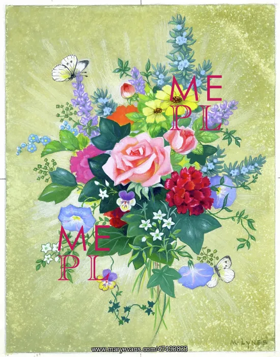 : Posy of Summer Flowers : Posy of Summer Flowers