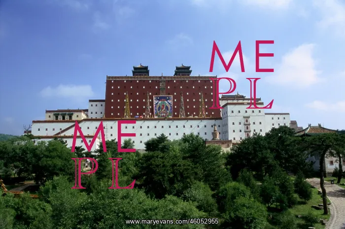 : The Potala Palace : The Potala Palace