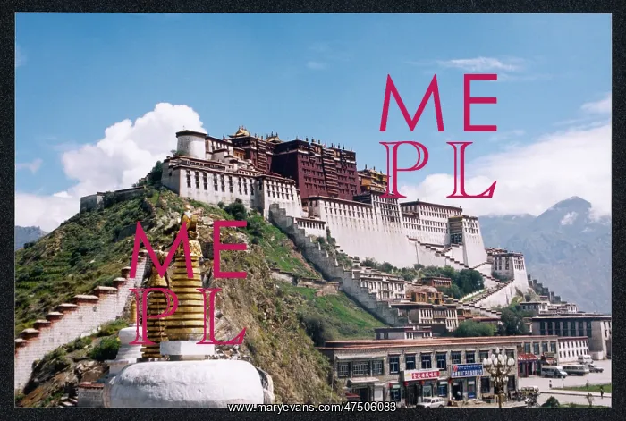 : POTALA PALACE / TIBET : POTALA PALACE / TIBET