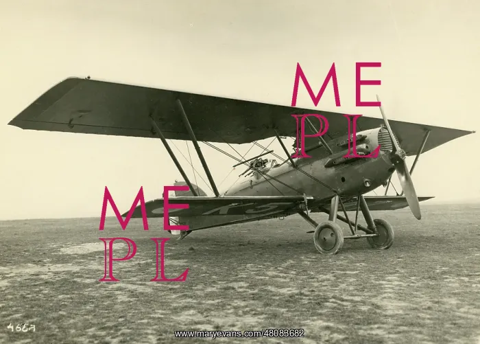  : Potez 25TOE