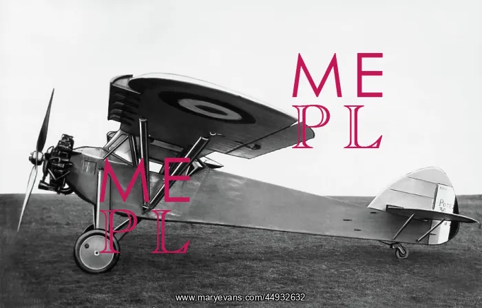  : Potez 36 Parked