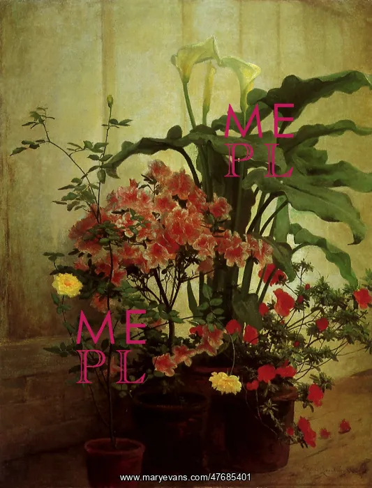  : Potted Flowers