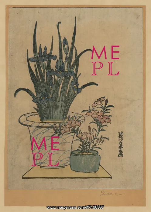 : Potted irises and pinks : Potted irises and pinks