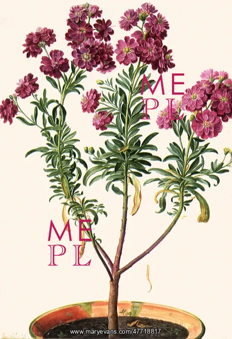  : Potted plant