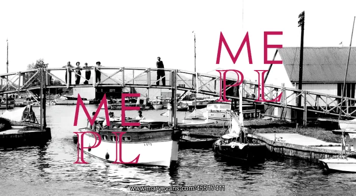  : Potter Heigham, the Foot Bridge c1955
