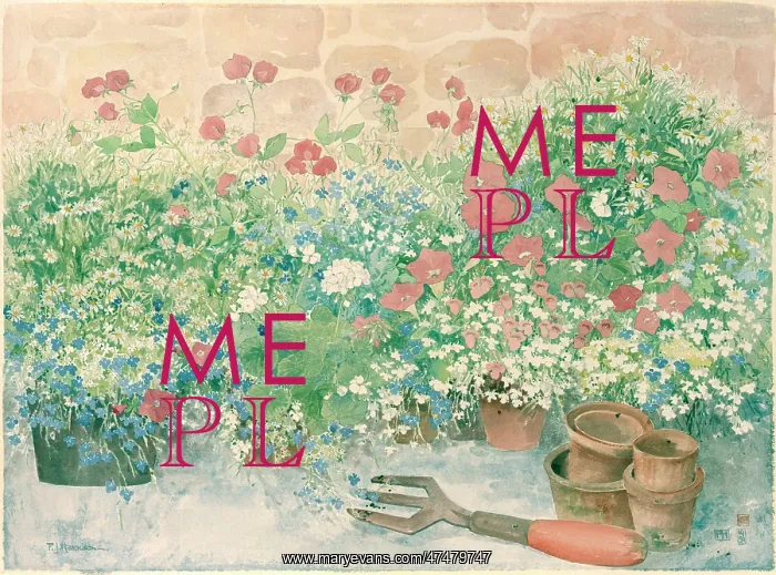 : Potting ' pots of flowers and empty pots : Potting ' pots of flowers and empty pots
