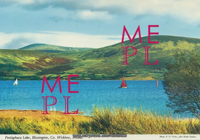 : Poulaphouca Lake, Blessington, County Wicklow, Ireland : Poulaphouca Lake, Blessington, County Wicklow, Ireland