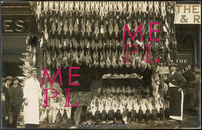 : POULTERER - FISHMONGER : POULTERER - FISHMONGER
