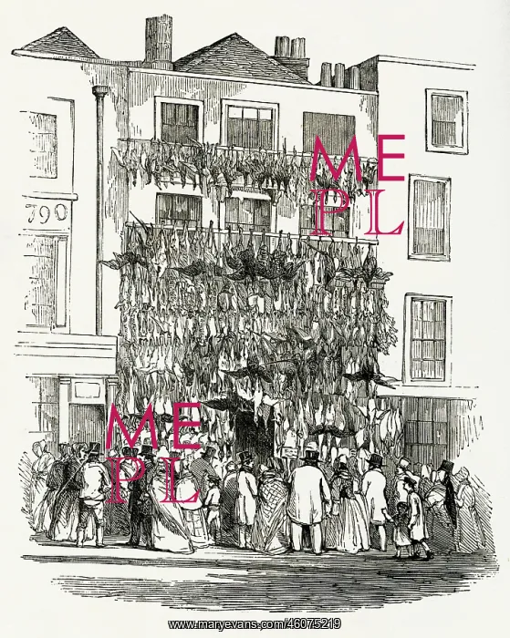 : Poulterer's shop, Holborn Hill 1845 : Poulterer's shop, Holborn Hill 1845