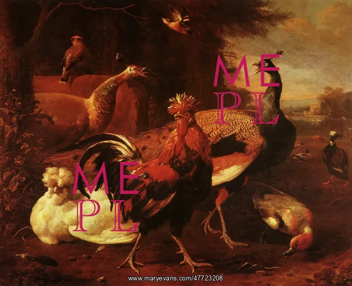 : Poultry
