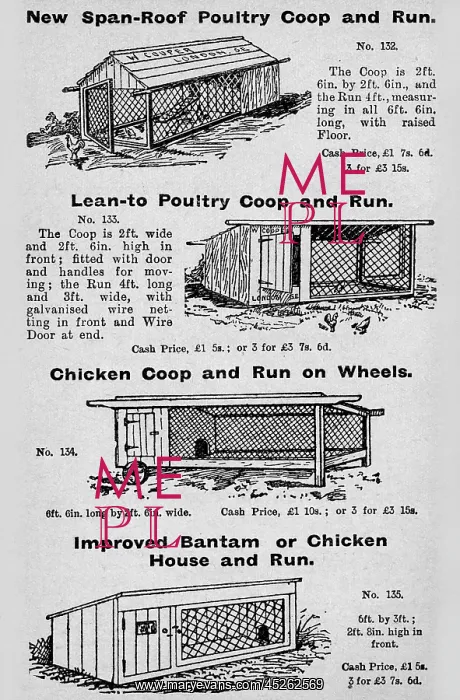 : Poultry coops : Poultry coops