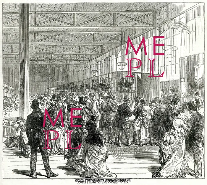 : Poultry show at the Crystal Palace 1870 : Poultry show at the Crystal Palace 1870