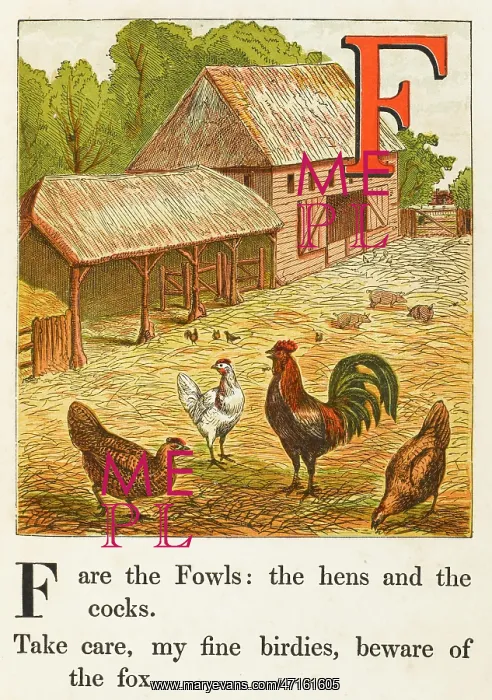 : POULTRY IN FARMYARD 1867 : POULTRY IN FARMYARD 1867