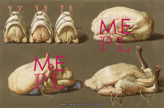 : POULTRY READY TO COOK