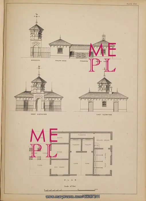 : Poultry Shed and Cow House : Poultry Shed and Cow House