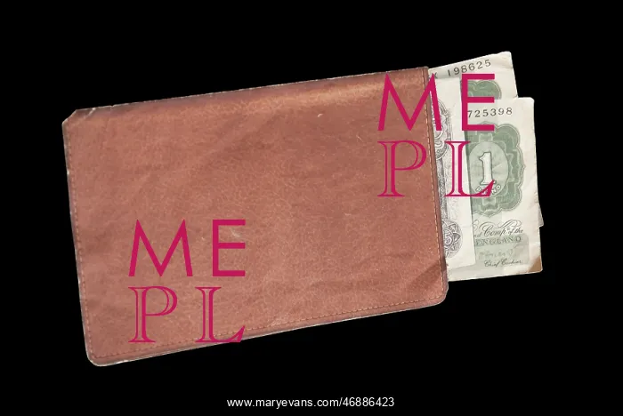  : Pound Notes Wallet