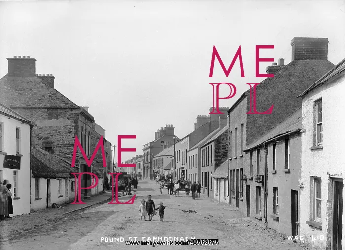 : Pound St. Carndonagh : Pound St. Carndonagh
