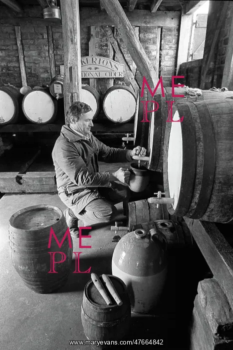 : Pouring cider in cider barn at Dunkertons cider, England : Pouring cider in cider barn at Dunkertons cider, England