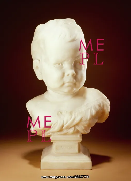 : The Pouter : The Pouter