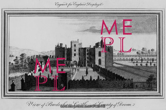: POWDERHAM CASTLE, Devon : POWDERHAM CASTLE, Devon