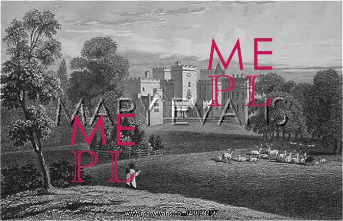 : POWDERHAM CASTLE / DEVON : POWDERHAM CASTLE / DEVON
