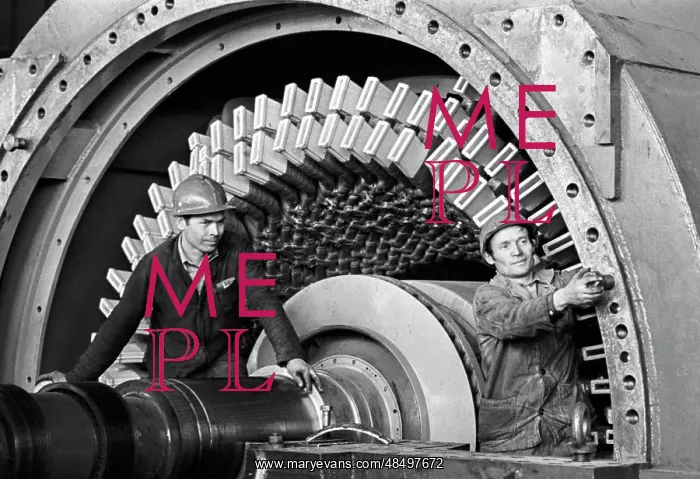 : Power plant generator assembly : Power plant generator assembly
