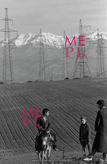  : Power transmission line poles