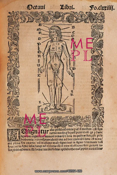 : Practica Compendiosa Artis Raymundi Lulli, book eighth, 1523 : Practica Compendiosa Artis Raymundi Lulli, book eighth, 1523