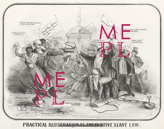 : PRACTICAL ILLUSTRATION OF THE FUGITIVE SLAVE : PRACTICAL ILLUSTRATION OF THE FUGITIVE SLAVE