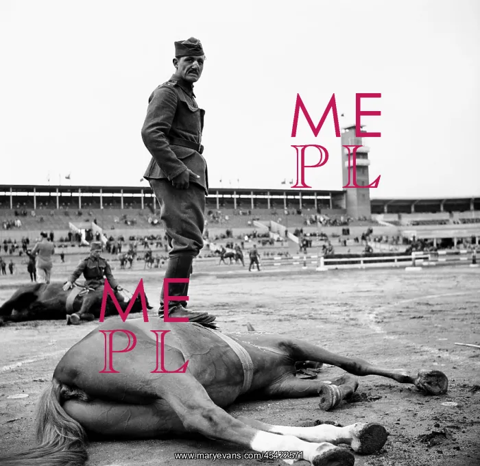  : Prague - 1938 - horse